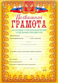 Похвальная грамота за особые успехи в изучении отдельных предметов (с гербом и флагом, текст,рамка оранжевая)