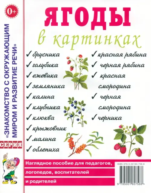 Ягоды в картинках. Наглядное пособие для педагогов, логопедов, воспитателей и родителей, Белый
Ягоды в картинках. Наглядное пособие для педагогов, логопедов, воспитателей и родителей, Белый