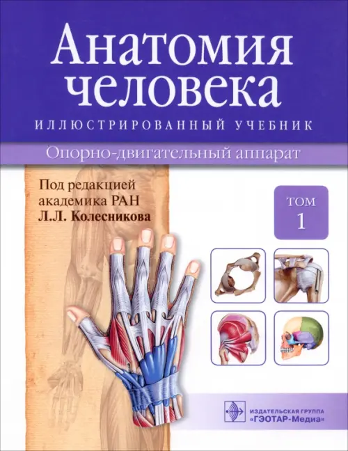 Анатомия человека. Иллюстрированный учебник. В 3-х томах. Том 1. Опорно-двигательный аппарат, Фиолетовый
Анатомия человека. Иллюстрированный учебник. В 3-х томах. Том 1. Опорно-двигательный аппарат, Фиолетовый