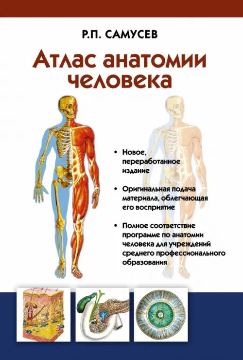 Атлас анатомии человека. Учебное пособие для студентов учреждений среднего профессионального образ, Белый
Атлас анатомии человека. Учебное пособие для студентов учреждений среднего профессионального образ, Белый