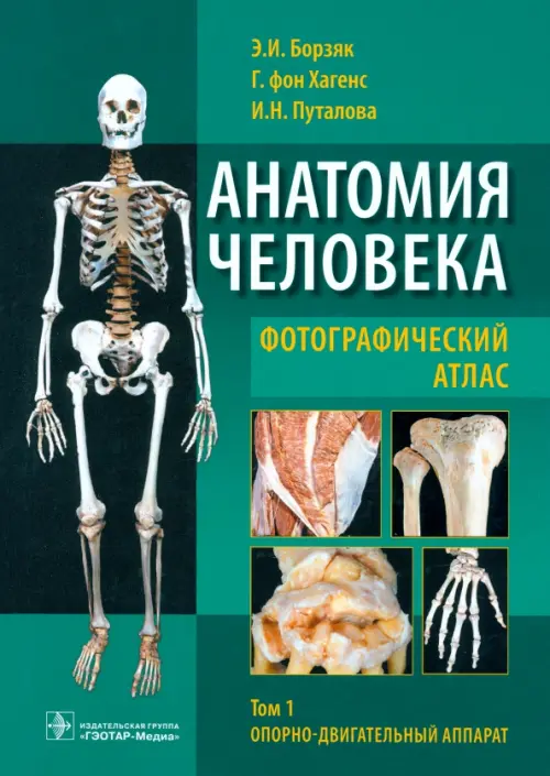 Анатомия человека. Фотографический атлас. Учебное пособие. В 3-х томах. Том 1, Зелёный
Анатомия человека. Фотографический атлас. Учебное пособие. В 3-х томах. Том 1, Зелёный
