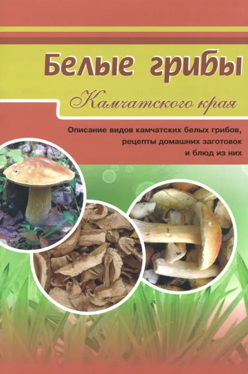 Белые грибы. Описание видов камчатских белых грибов, рецепты домашних заготовок и блюд из них
Белые грибы. Описание видов камчатских белых грибов, рецепты домашних заготовок и блюд из них