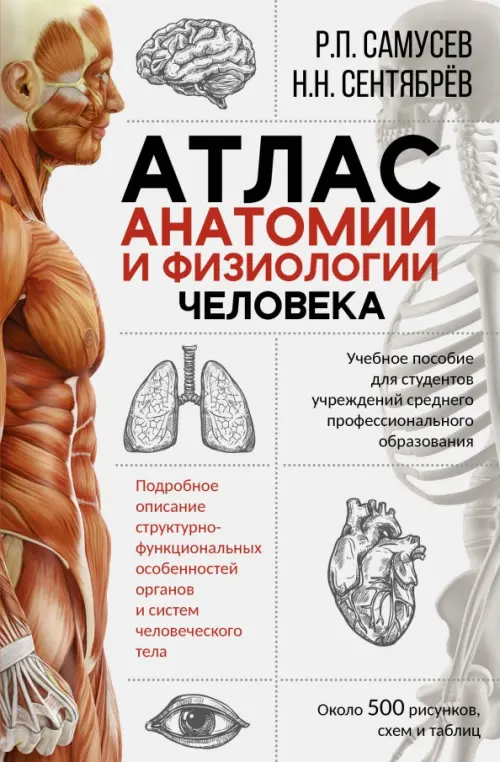 Атлас анатомии и физиологии человека. Учебное пособие для студентов учреждений СПО, Серый
Атлас анатомии и физиологии человека. Учебное пособие для студентов учреждений СПО, Серый