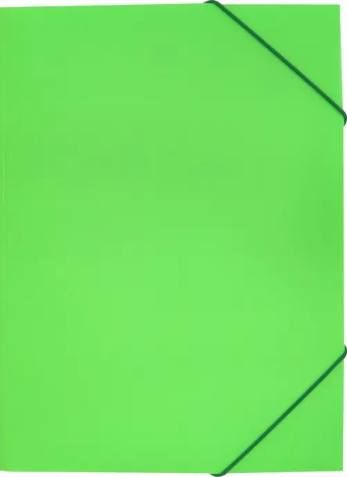 Папка на резинке "Бюрократ. Double Neon", цвет: салатовый, A4, арт. DNE510LETT, Зелёный
Папка на резинке "Бюрократ. Double Neon", цвет: салатовый, A4, арт. DNE510LETT, Зелёный