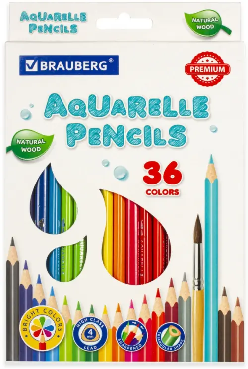 Карандаши цветные акварельные "Premium Aquarelle", 36 цветов, грифель мягкий 4 мм, Разноцветный
Карандаши цветные акварельные "Premium Aquarelle", 36 цветов, грифель мягкий 4 мм, Разноцветный