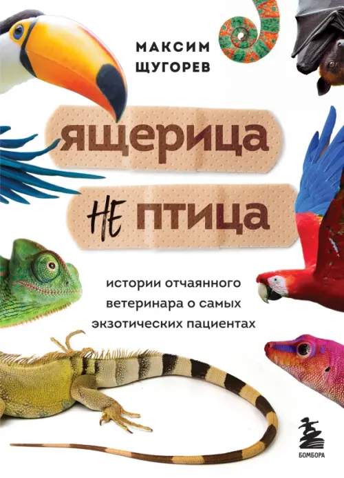 Ящерица не птица. Истории отчаянного ветеринара о самых экзотических пациентах, Белый
Ящерица не птица. Истории отчаянного ветеринара о самых экзотических пациентах, Белый