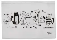 Папка на молнии "ZIP", цвет: прозрачный, А4