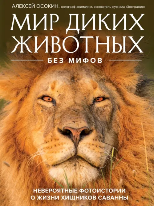 Мир диких животных без мифов. Невероятные фото-истории о жизни хищников саванны, Оранжевый
Мир диких животных без мифов. Невероятные фото-истории о жизни хищников саванны, Оранжевый