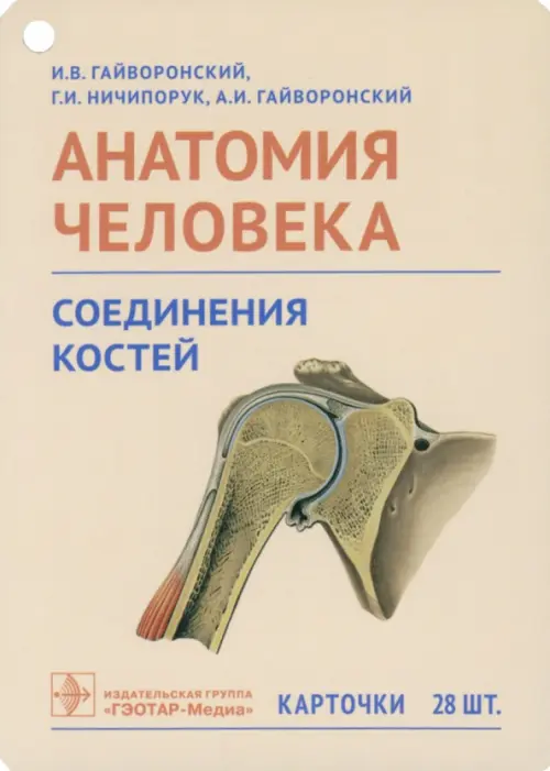 Анатомия человека. Соединения костей. Карточки. Наглядное учебное пособие, Жёлтый
Анатомия человека. Соединения костей. Карточки. Наглядное учебное пособие, Жёлтый