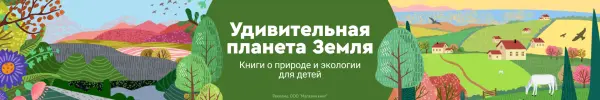 Специальное предложение