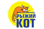 Рыжий кот