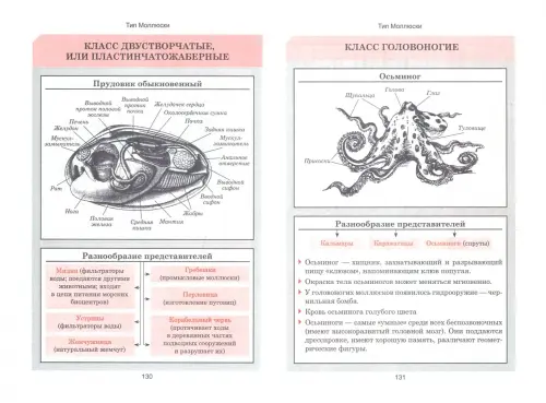 Эволюционная «Санта-Барбара»: каким был предок всех живых существ