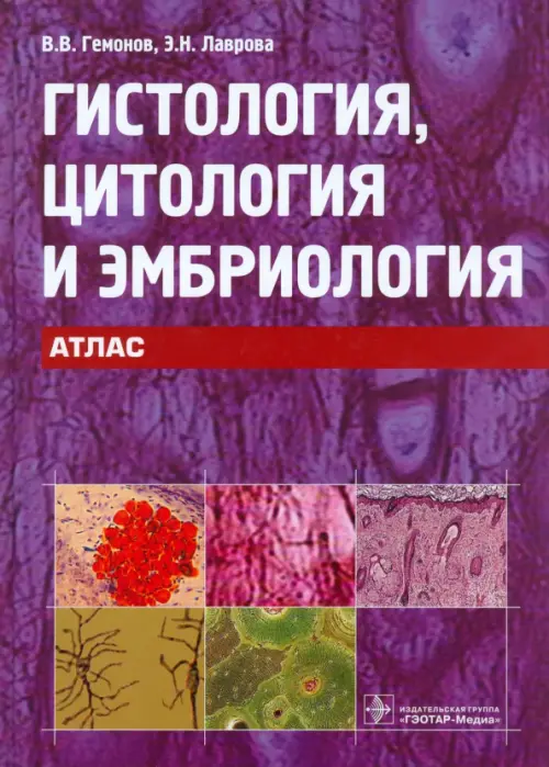 

Гистология, цитология и эмбриология. Атлас, Фиолетовый