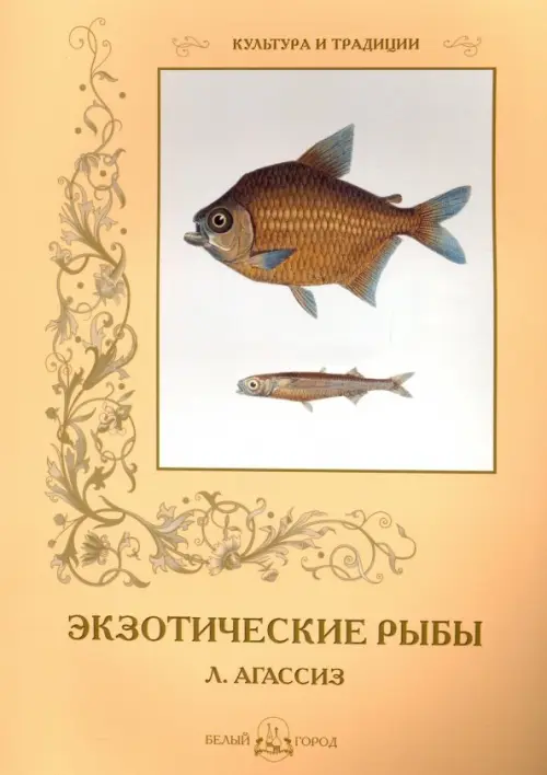 

Экзотические рыбы, Оранжевый