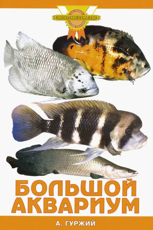 

Большой аквариум, Белый