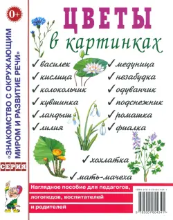 Цветы в картинках. Наглядное пособие для педагогов, логопедов, воспитателей и родителей