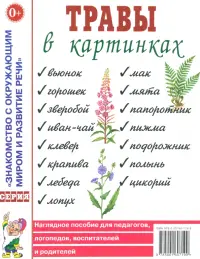 Травы в картинках. Наглядное пособие для педагогов, логопедов, воспитателей и родителей