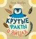 Миниатюра 2