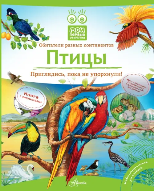 

Птицы, Зелёный