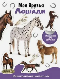 Мои друзья лошади