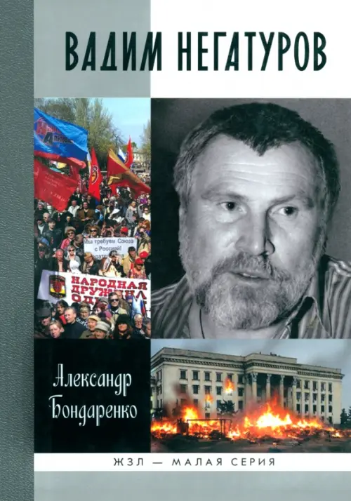 

Вадим Негатуров, Серый