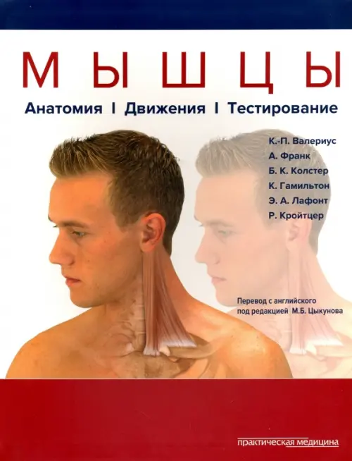 

Мышцы. Анатомия. Движения. Тестирование