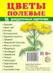 Миниатюра 1