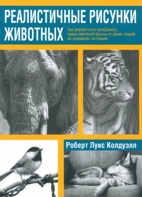 

Реалистичные рисунки животных, Серый