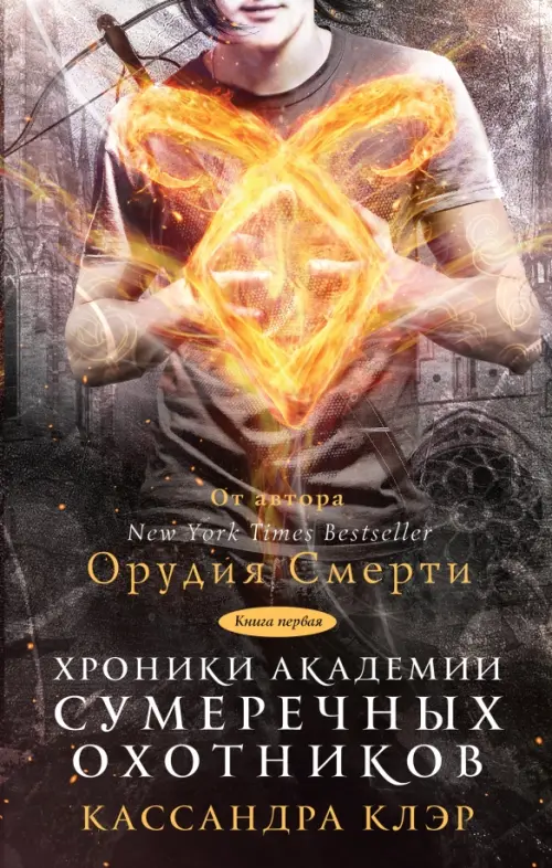 

Хроники Академии Сумеречных охотников, Серый