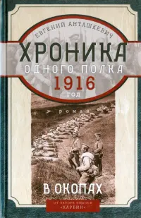 В окопах. 1916 год. Хроника одного полка