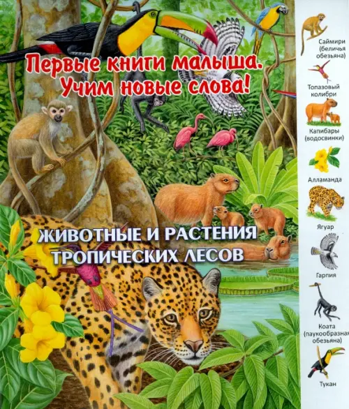 

Животные и растения тропических лесов. Виммельбух, Зелёный