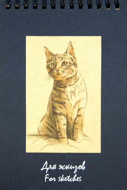 

Блокнот для эскизов. Котенок, А5, 50 листов, Синий