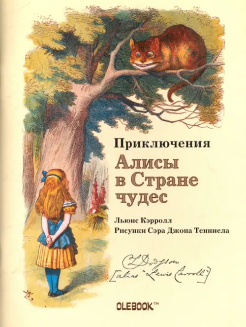 

Блокнот. Приключения Алисы в стране чудес. Чеширский Кот, Жёлтый