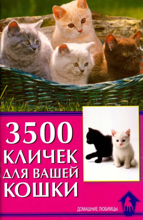 

3500 кличек для вашей кошки