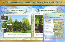 Природные зоны: смешанные и широколиственные леса, тайга. Комплект из 8 плакатов с методическим сопровождением. ФГОС