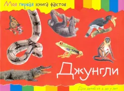Джунгли