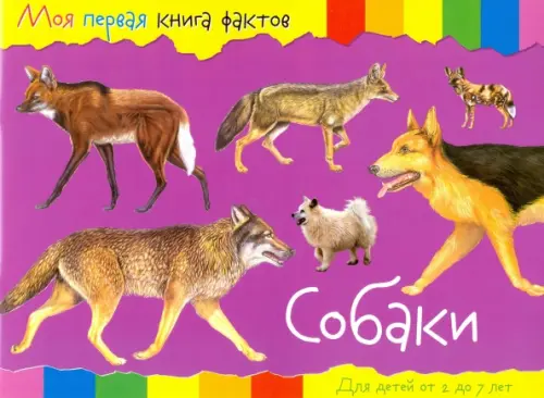 

Собаки, Фиолетовый