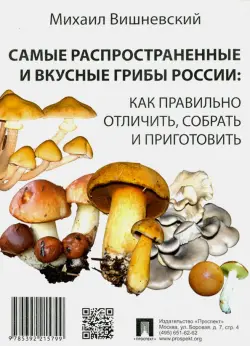 Самые распространенные и вкусные грибы России. Как правильно отличить, собрать и приготовить