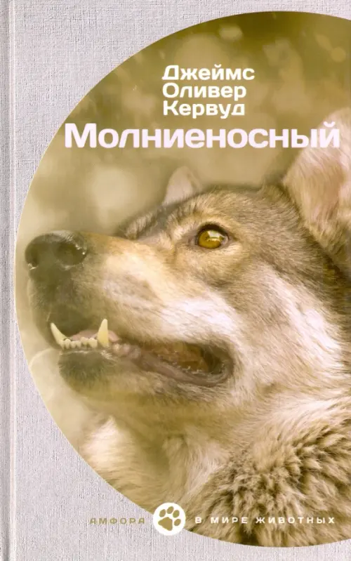 

Молниеносный, Серый