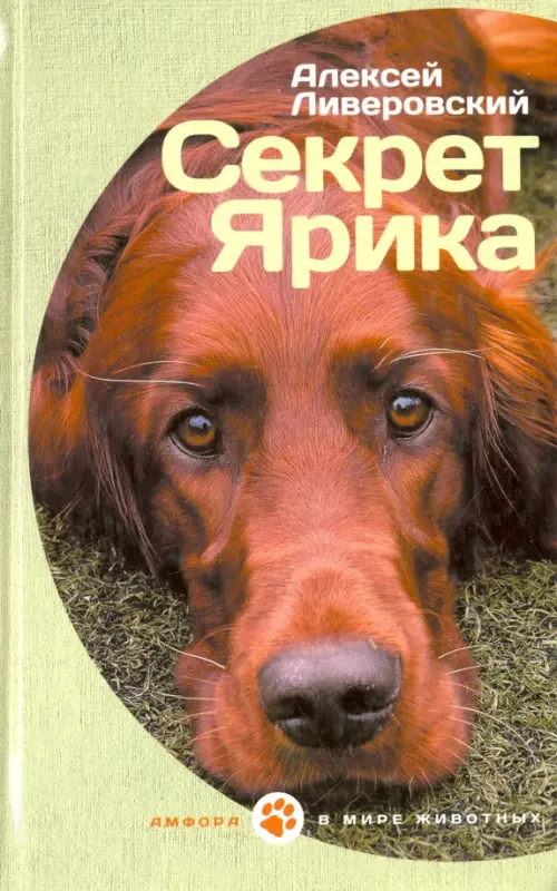 

Секрет Ярика. Рассказы, Жёлтый