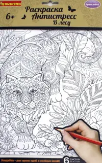 Набор раскрасок антистресс. В лесу