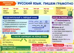 Начальная школа. Русский язык. Пишем грамотно