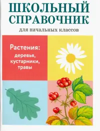 Растения: деревья, кустарники, травы