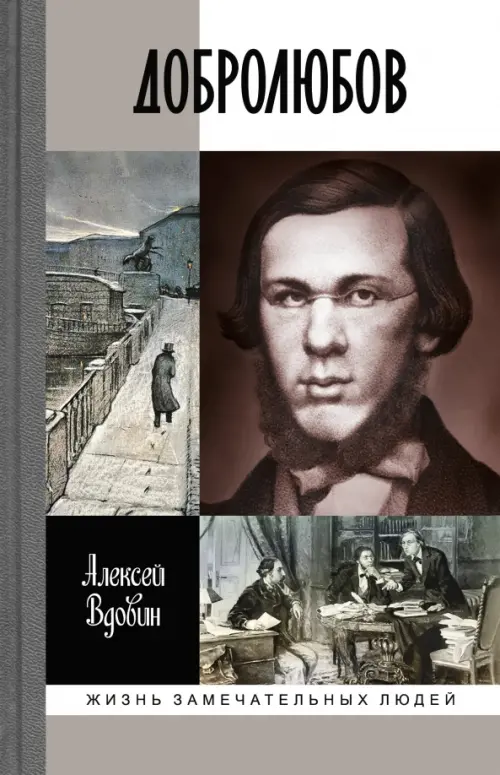 

Добролюбов. Разночинец между духов и плотью, Серый