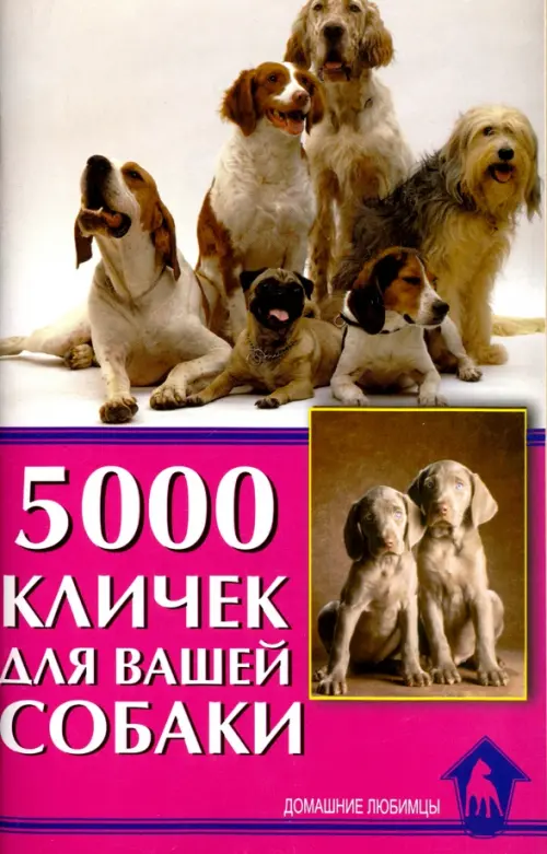 

5000 кличек для вашей собаки