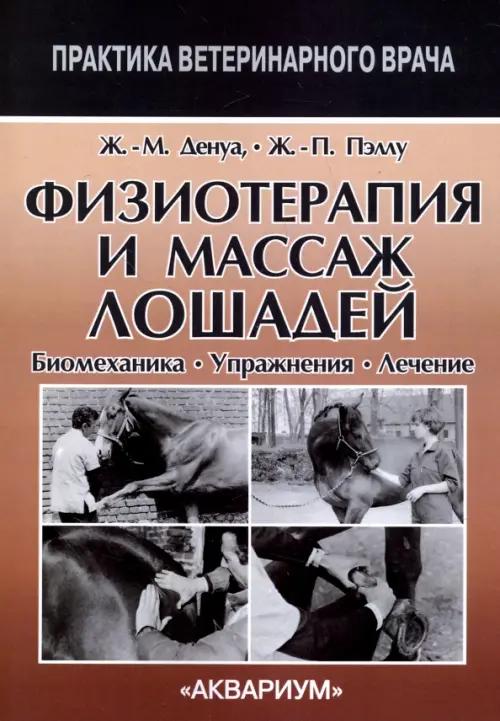 

Физиотерапия и массаж лошадей. Биомеханика. Упражнения. Лечение, Серый