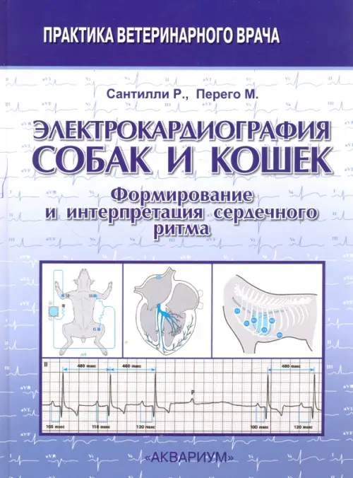 

Электрокардиография собак и кошек. Формирование и интерпретация сердечного ритма, Фиолетовый