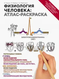 Физиология человека. Атлас-раскраска