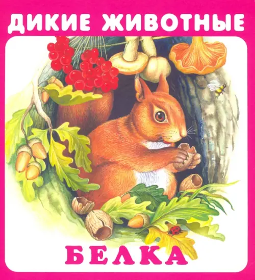 

Набор карточек "Дикие животные"