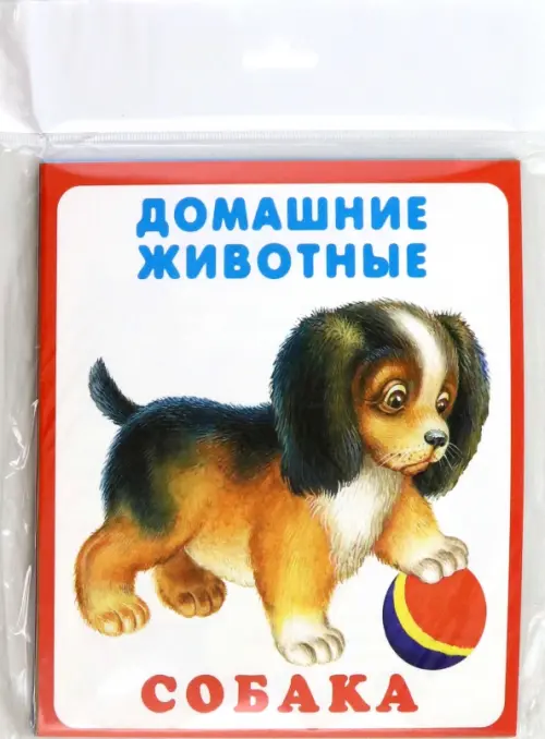 

Набор карточек "Домашние животные"